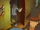 Chapter 11: The Time Machine Facility