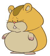 Full-Body Illustration Hamster