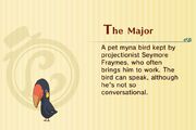 The Major Profile