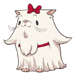 Weiße Katze
