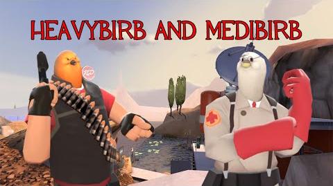 A TF2 Heavy and Medic Bird Documentary