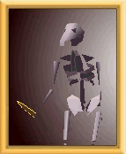 Character Skeleton