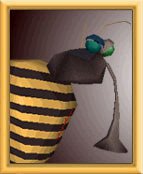 Character Mosqui-Big