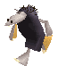 Species Wannies