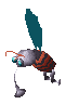 Species Mosquibee