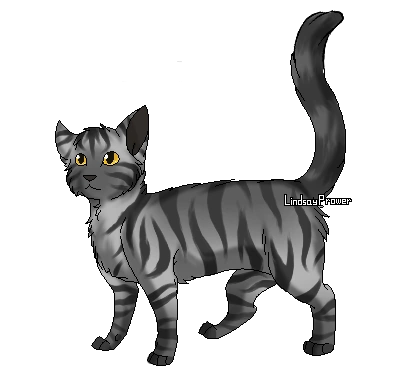 Pelage D Ecume Wiki Les Chats Des Clans Fandom