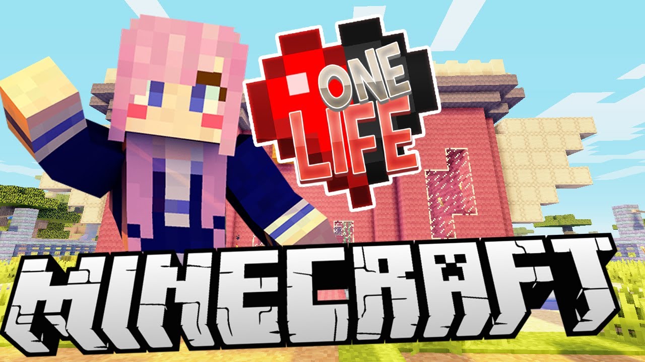 minecraft life