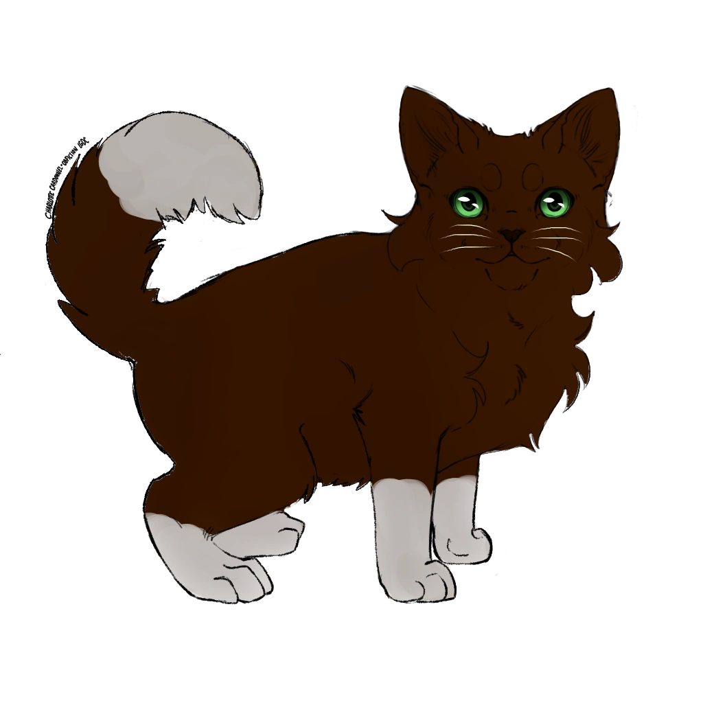 Petite Éclaboussure | Wiki Le Clan de la Brume | Fandom, image size:1024x1024