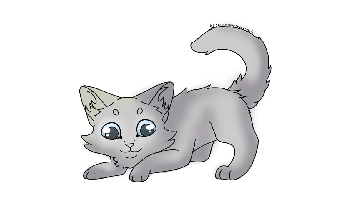 Petit Nuage Orageux Wiki Le Clan Des Neiges Eternelles Fandom Petit Nuage Orageux Wiki Le Clan Des Neiges Eternelles Fandom