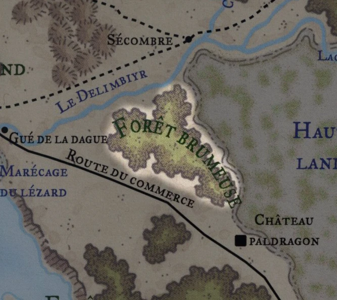 Forêt brumeuse Wiki Le Monde des Royaumes Oubliés Fandom