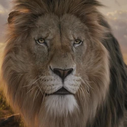 Shenzi | Wiki Le Roi Lion FR | Fandom