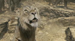 Mufasa LeRoiLion-8828
