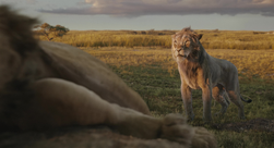 Mufasa LeRoiLion-3554