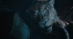 Mufasa LeRoiLion 9110
