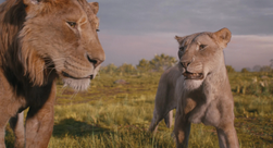 Mufasa leRoiLion-3757