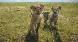 Mufasa LeRoiLion-2411