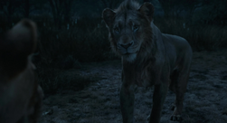 Mufasa- LeRoiLion-6427