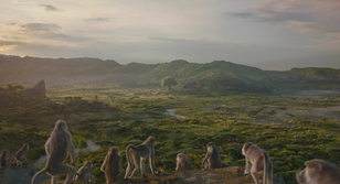 Terre des Lions (2019)