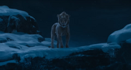 Taka observe Mufasa et Sarabi tombant amoureux de l'un et de l'autre.