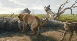 Mufasa LeRoiLion-4192