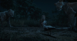 Mufasa leRoiLion-6478