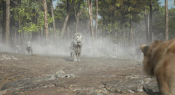 Mufasa LeRoiLion-5836