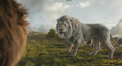 Mufasa LeRoiLion-5461