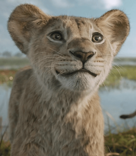 Lionceau