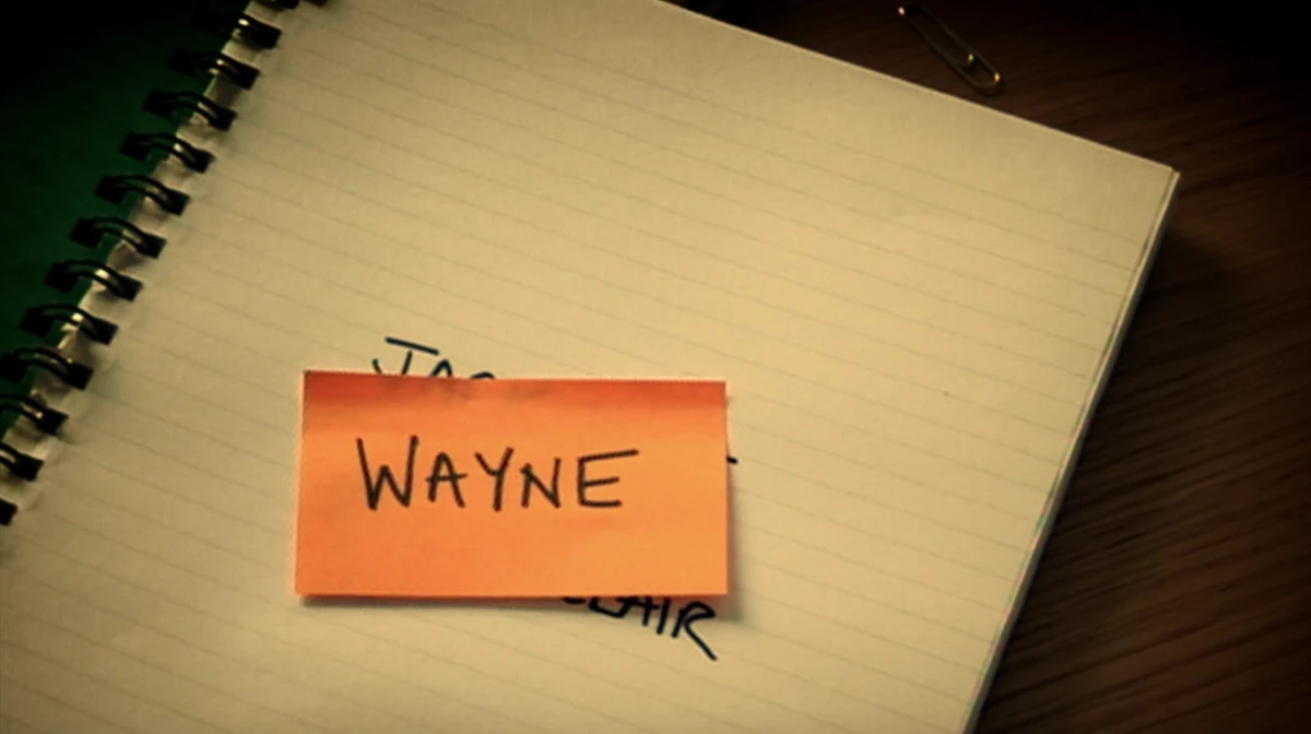 Wayne Lead Balloon Wiki Fandom