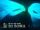 DJ Sona Ultimate Concert Skins Trailer - League of Legends