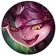Lulu DragonTrainerCircle