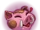 Oink Emote.png