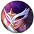 Quinn StarGuardianCircle