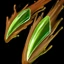 Cassiopeia Doppelzahn alt