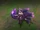 Ahri Update Coven Concept 01.jpg