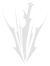 Severe Strike ToS icon