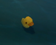 The rubber duckie on Summoner's Rift