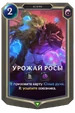 09IO049