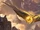 Winged Messenger (Legends of Runeterra)