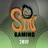 Sin Gaming 2017