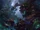 Maokai