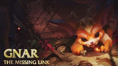 Gnar Champion Spotlight