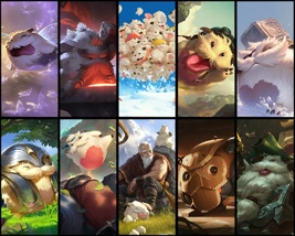Many different poros