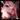 Zyra