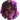 Star Guardian Senna