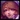 Lillia