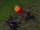 Dark Harvest soul VFX.png