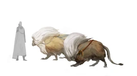 A side view of two Tamu and a Human.