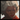 AmbessaSquare.png
