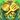 Tactician's Cape